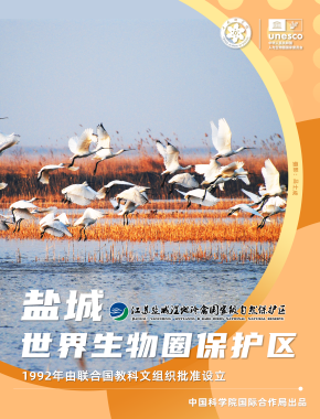 盐城世界生物圈保护区